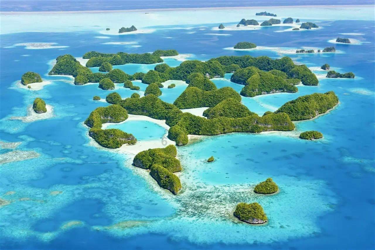蛇吃金钥匙
