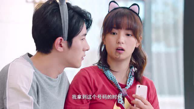 普洱新茶和老茶存放一起行吗？为什么？游戏画面