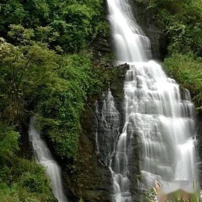 针灸减肥有效吗？游戏画面